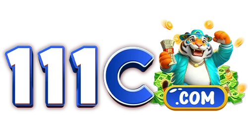 111C.COM